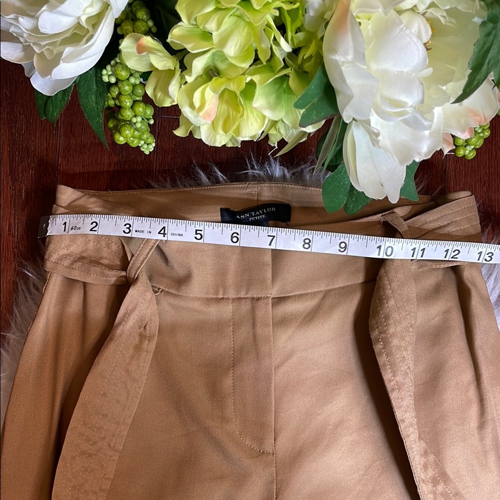 Ann Taylor Tan Trousers with Belt - Picture 11 of 13